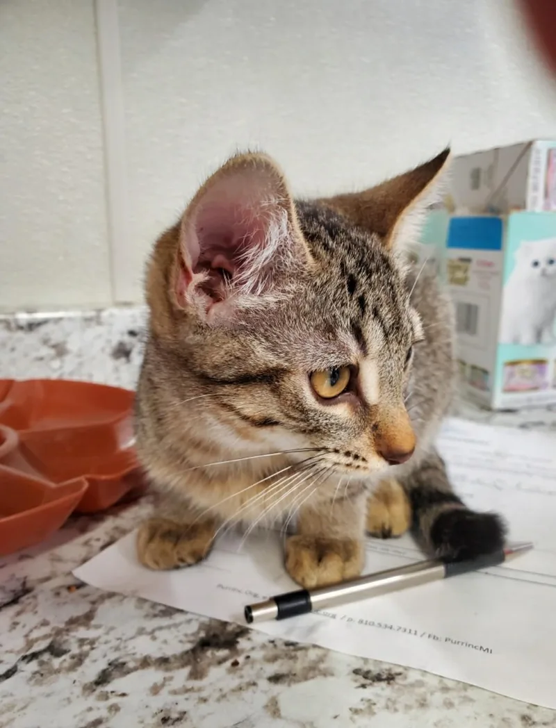 Sally thumbnail 2