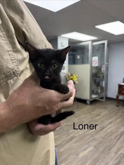 Loner