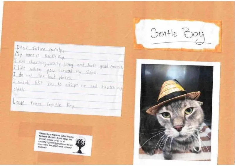 Gentle Boy thumbnail 2