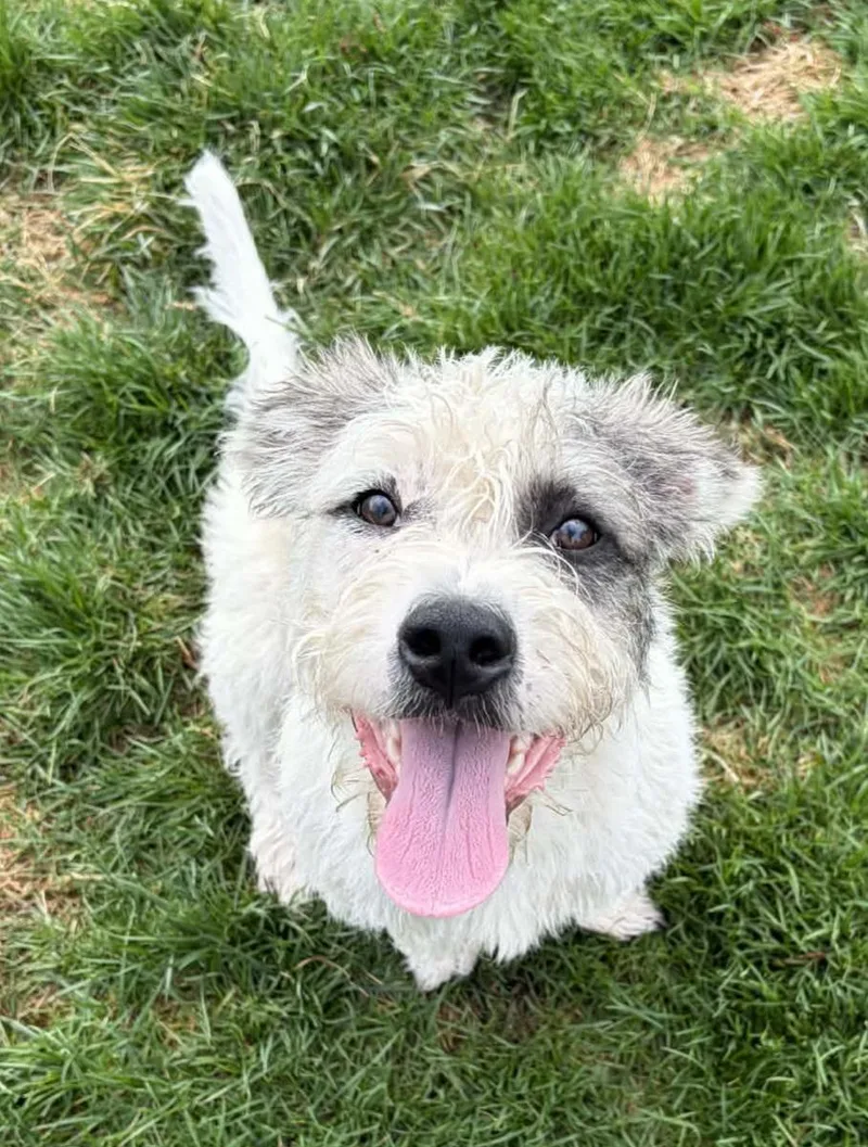 Pants First thumbnail 2