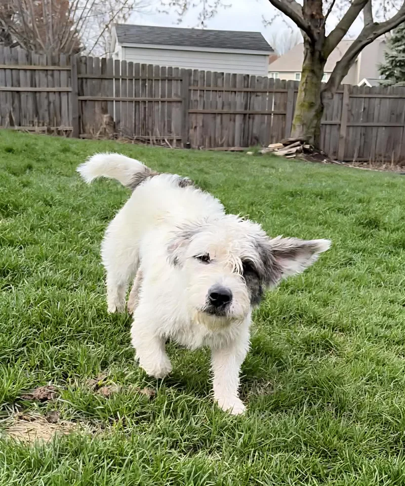 Pants First thumbnail 4