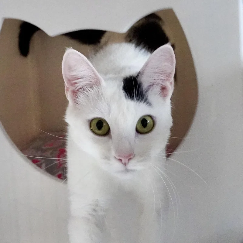 Miss Yvonne thumbnail 2