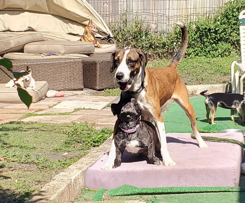 Finley  Please Read thumbnail 2