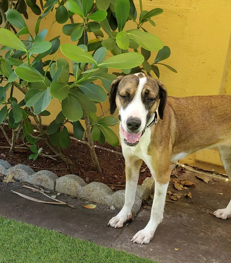 Finley  Please Read thumbnail 4