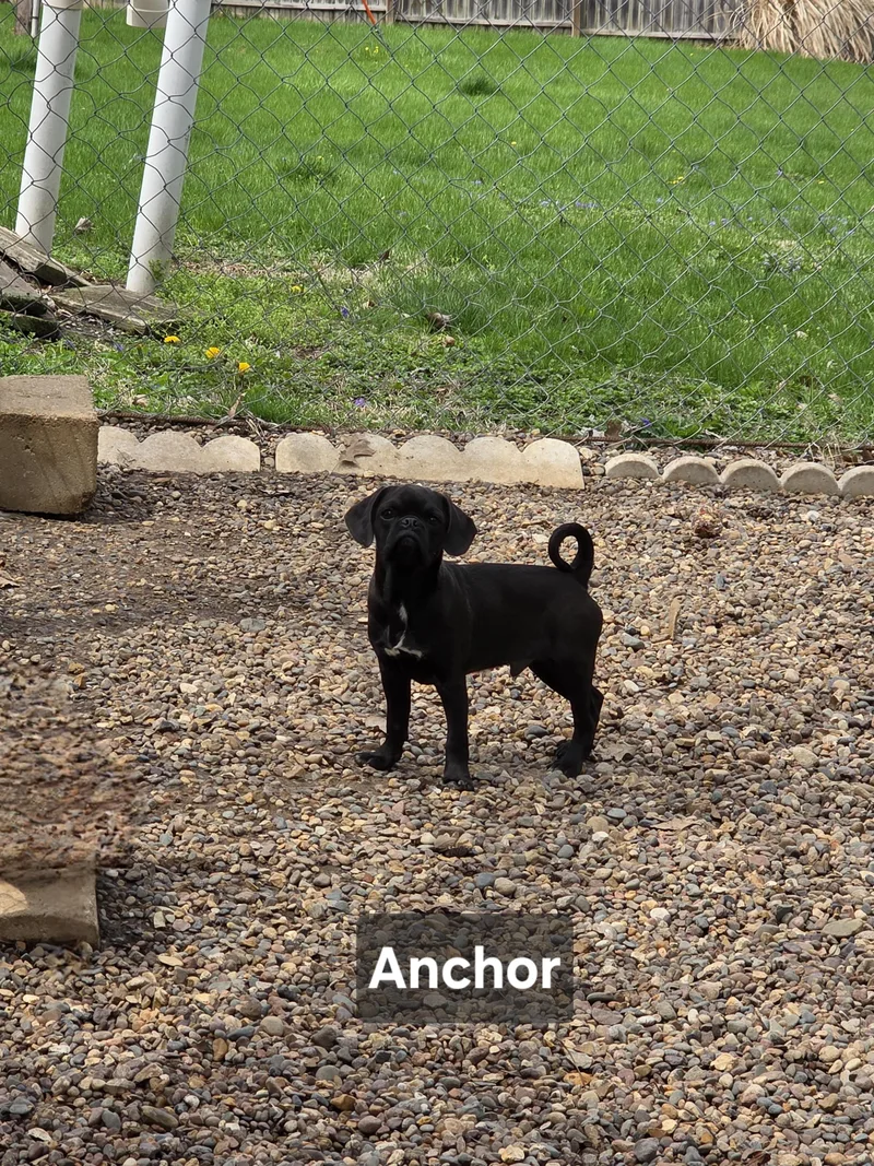 Anchor thumbnail 3