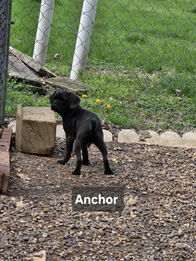 Anchor thumbnail 5