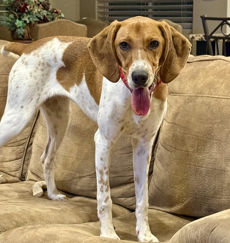 Keiko