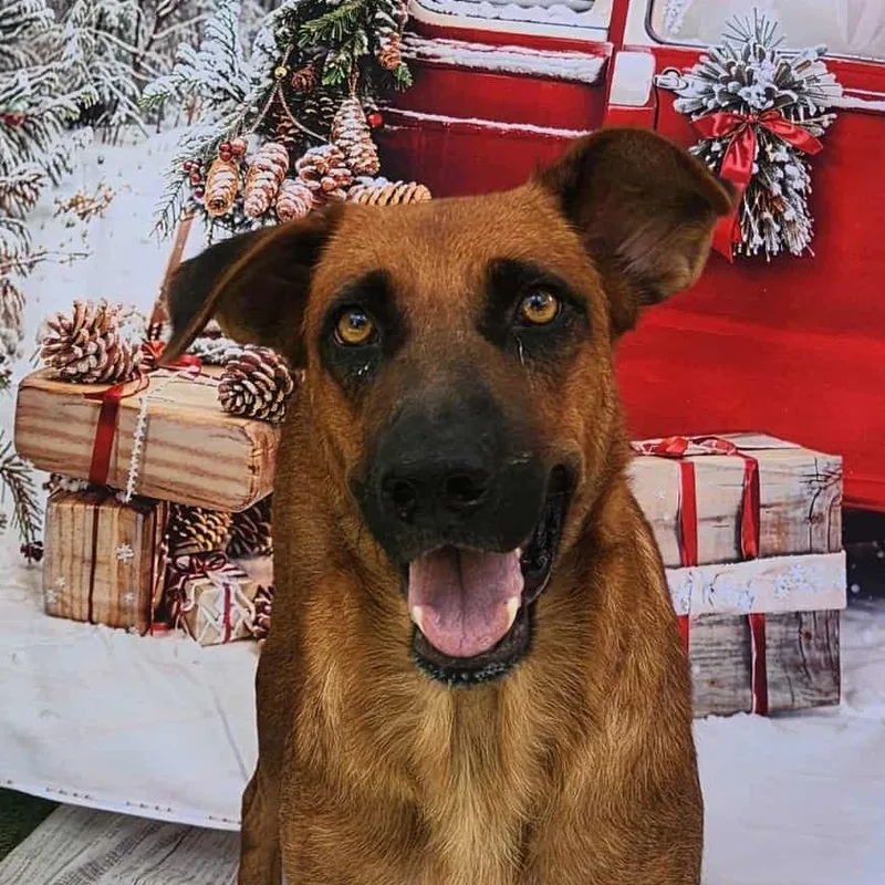 Zola Jum thumbnail 5