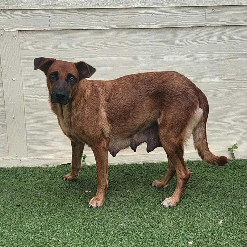 Zola Jum thumbnail 6