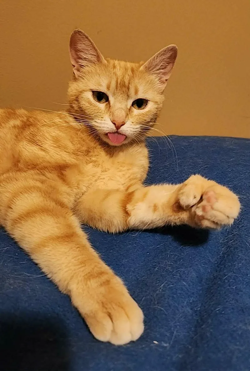 Sunshine Bonded To Sunny thumbnail 4