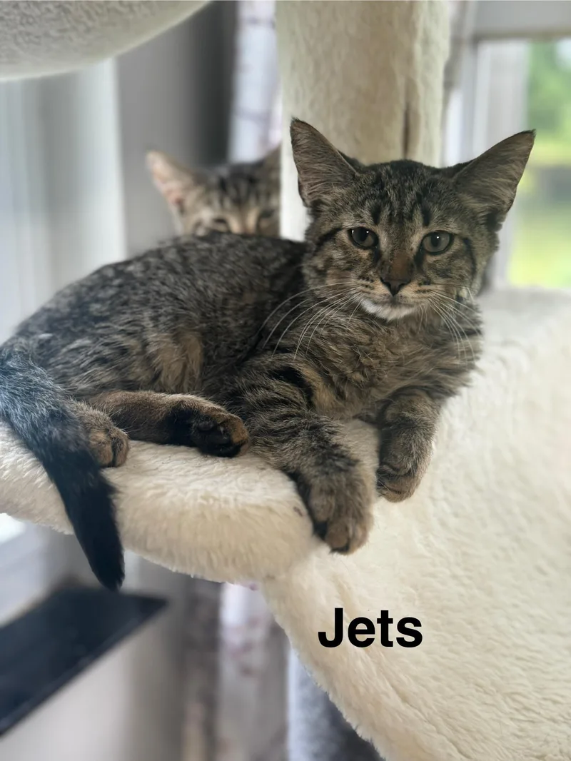 Jets