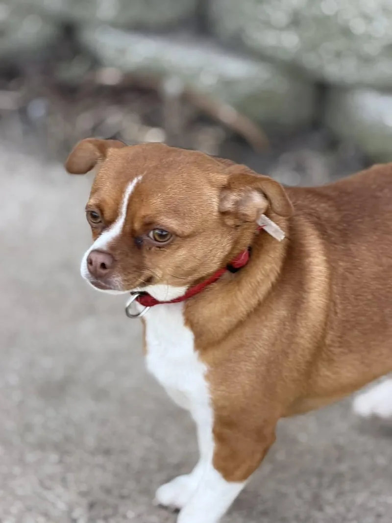 Nora Jane thumbnail 2