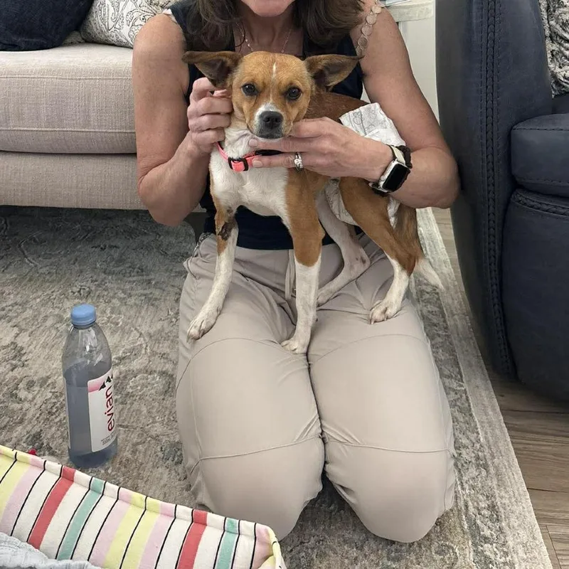 Squirrel thumbnail 2