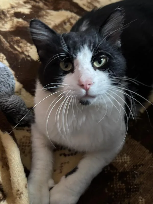 Harry  Courtesy Listing