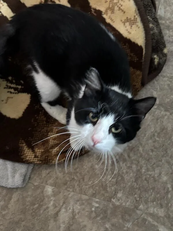 Harry  Courtesy Listing thumbnail 2