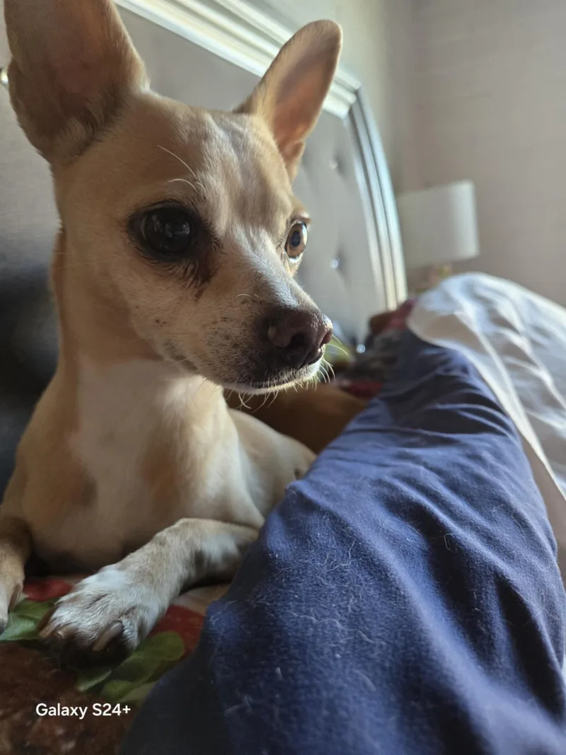 Felicity thumbnail 3