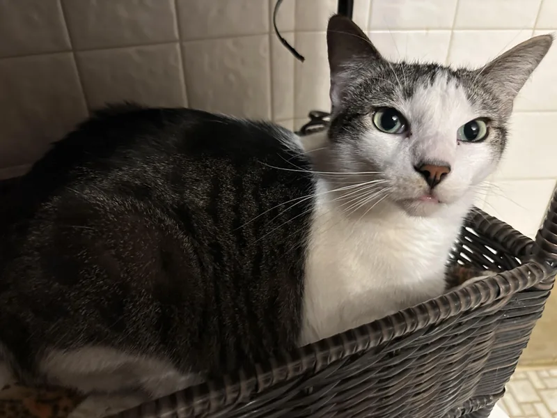 Martin And Lottie thumbnail 3