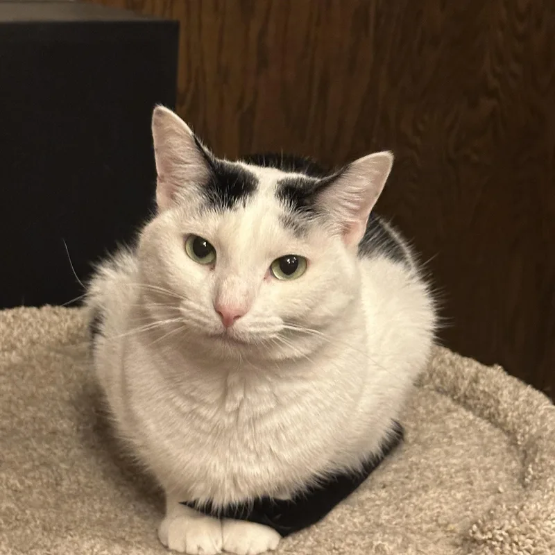 Martin And Lottie thumbnail 4