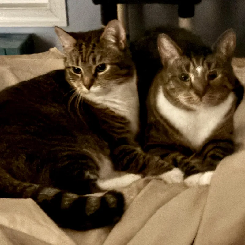 Skipper And Sammy