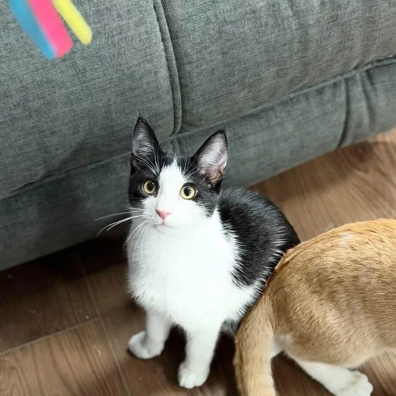 Benjamin aka Benny Boy thumbnail 3
