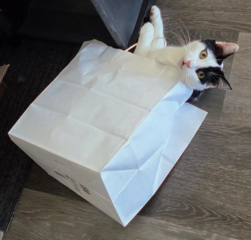 Steven Spielberg thumbnail 2