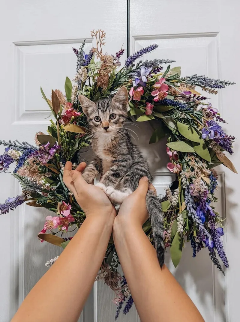Bella