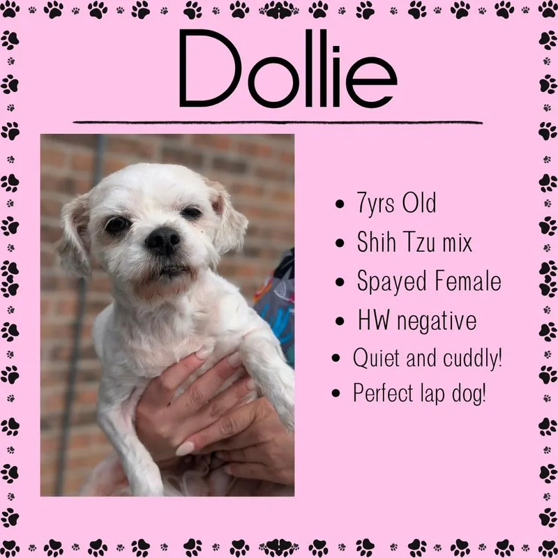 Dollie