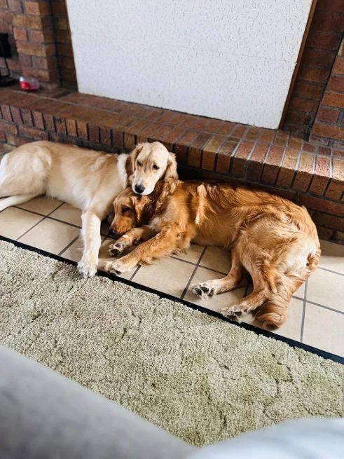 Penny And Sunny thumbnail 2