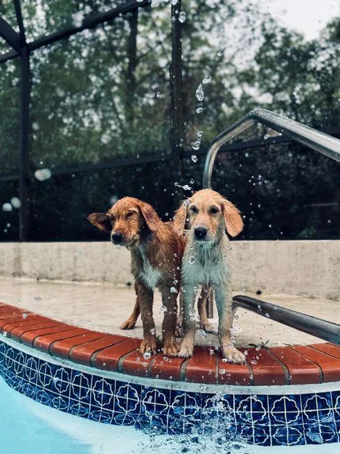 Penny And Sunny thumbnail 4