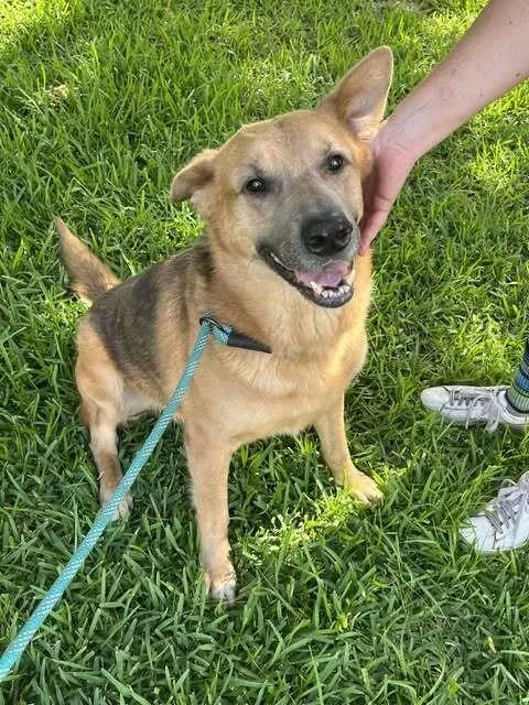 Kaiser 💜 thumbnail 2