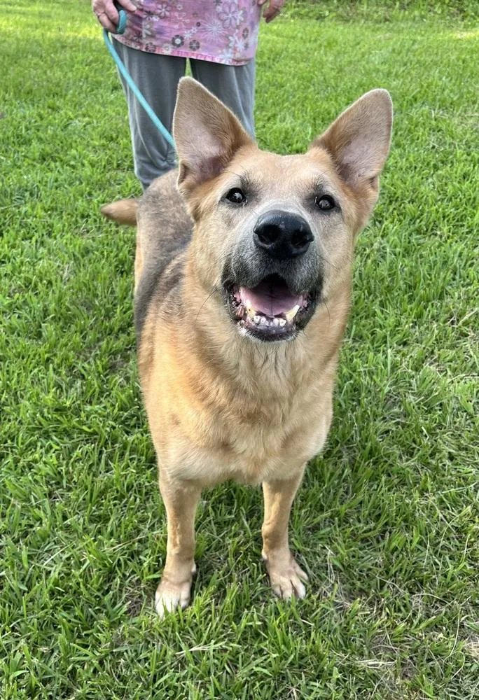 Kaiser 💜 thumbnail 3