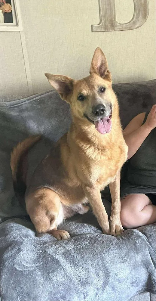 Kaiser 💜 thumbnail 4