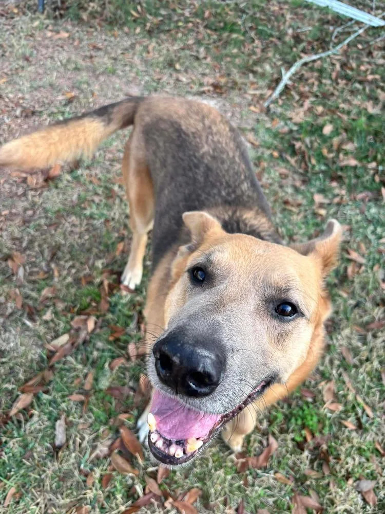 Kaiser 💜 thumbnail 5