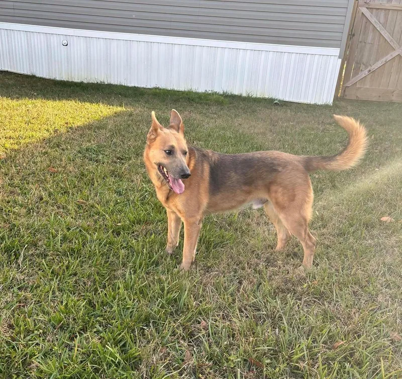 Kaiser 💜 thumbnail 6