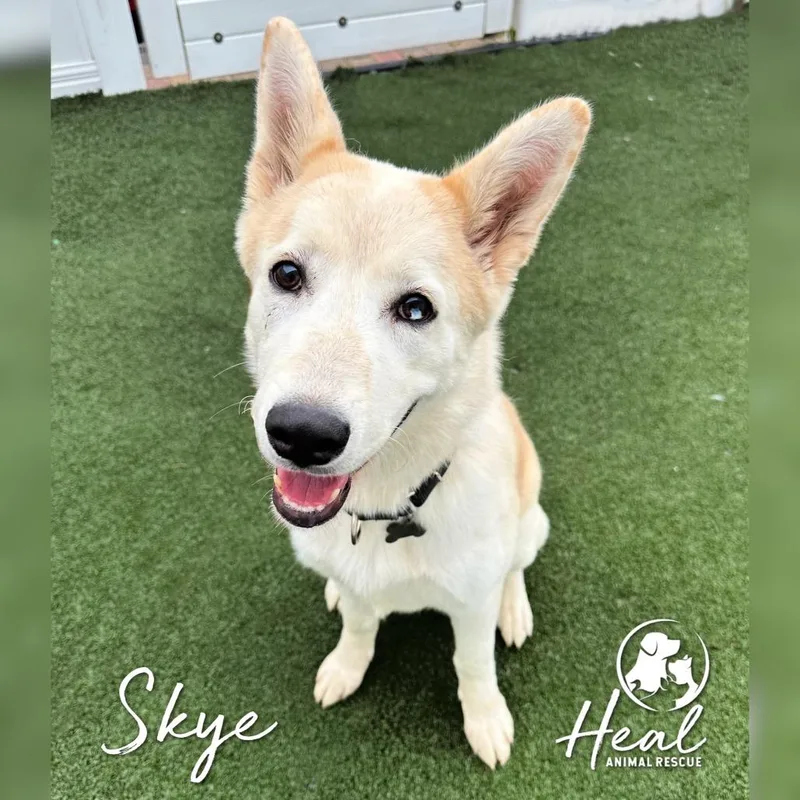 Skye