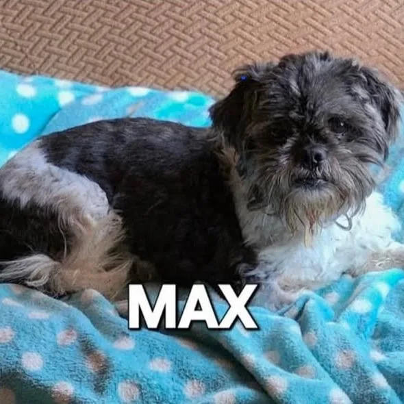 Mad Max