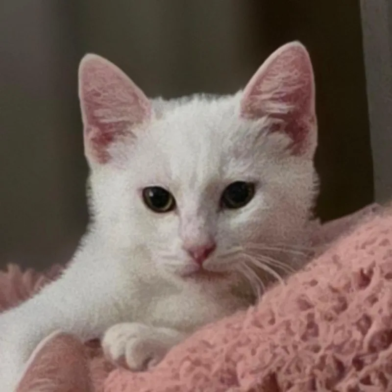 Milky thumbnail 2