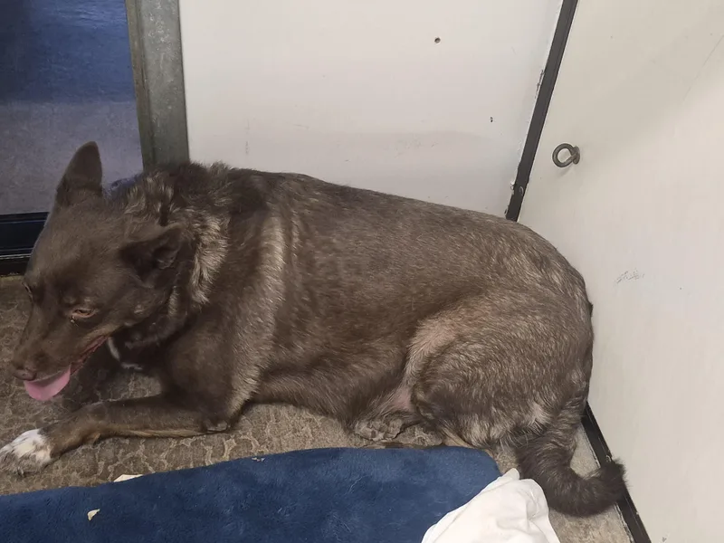 Ellie Mae thumbnail 2