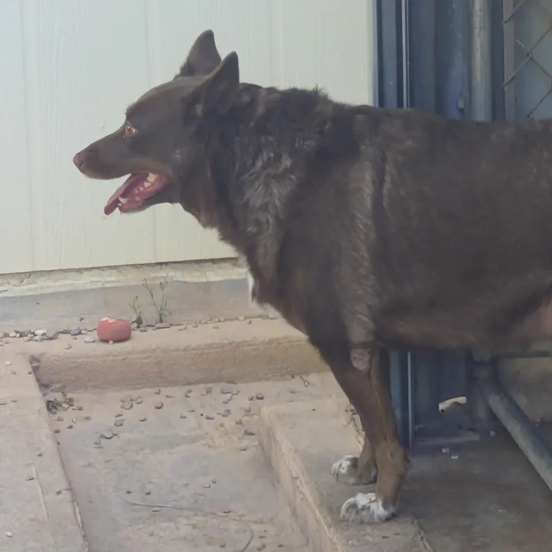 Ellie Mae thumbnail 3