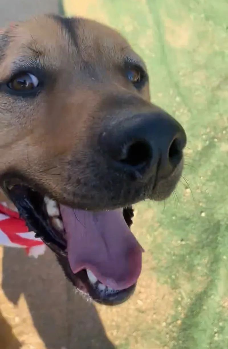 Awesome Kind Gentle “yondu” thumbnail 3