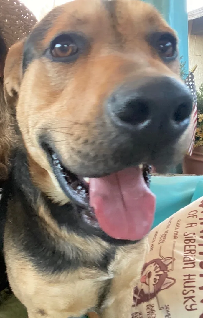 Awesome Kind Gentle “yondu” thumbnail 4