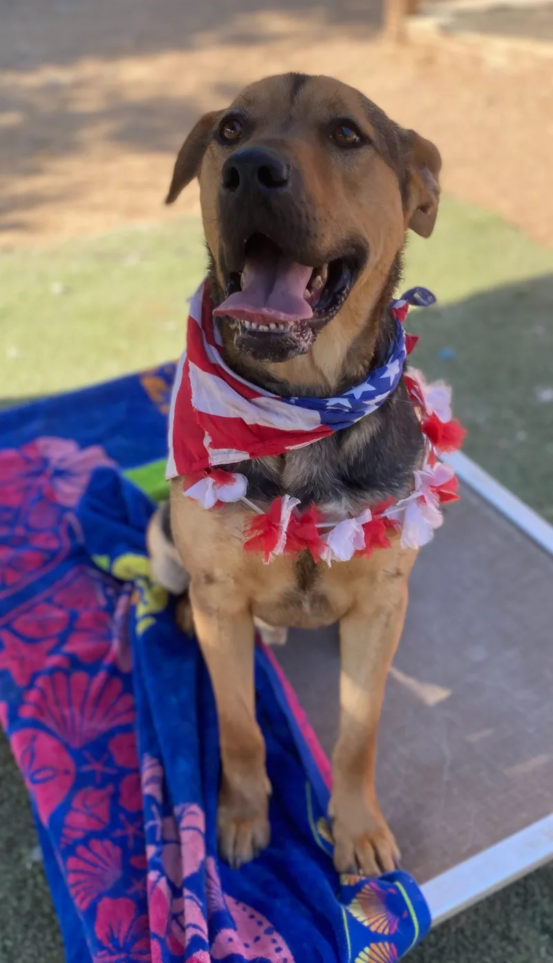 Awesome Kind Gentle “yondu” thumbnail 5