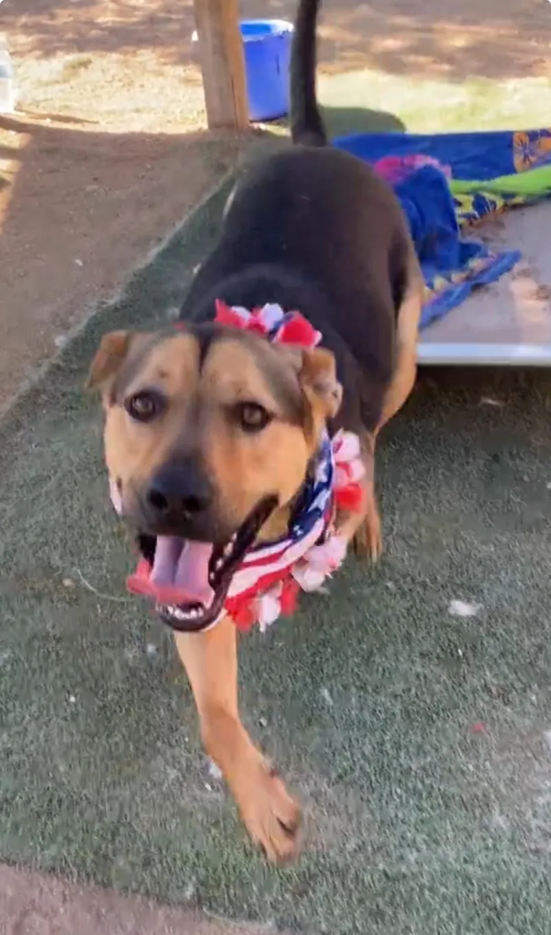 Awesome Kind Gentle “yondu”