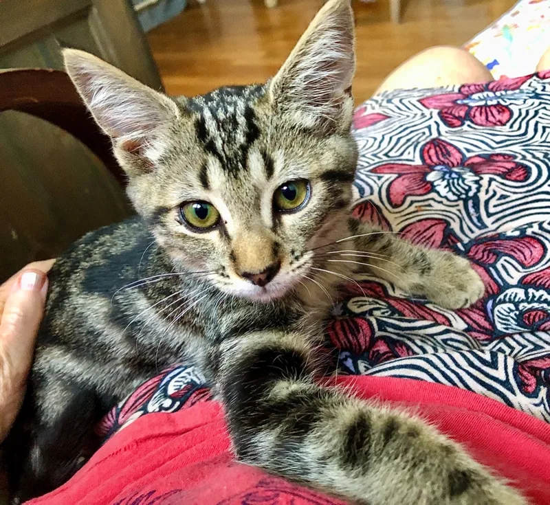 Polo Aka Polina thumbnail 2