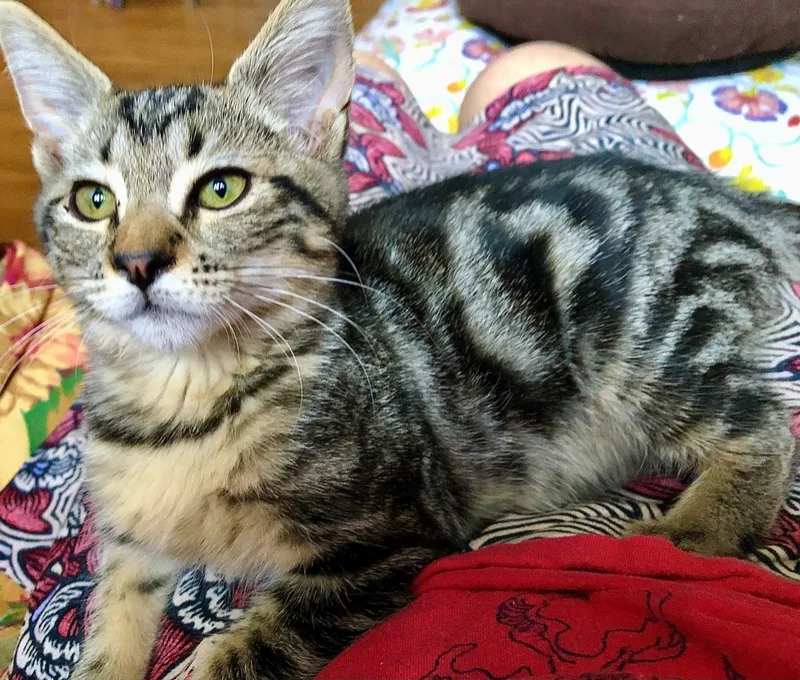 Polo Aka Polina thumbnail 3