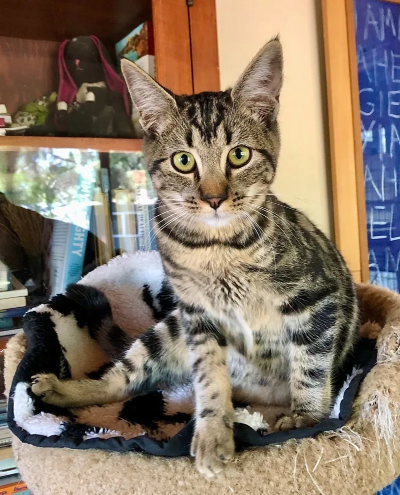 Polo Aka Polina thumbnail 5