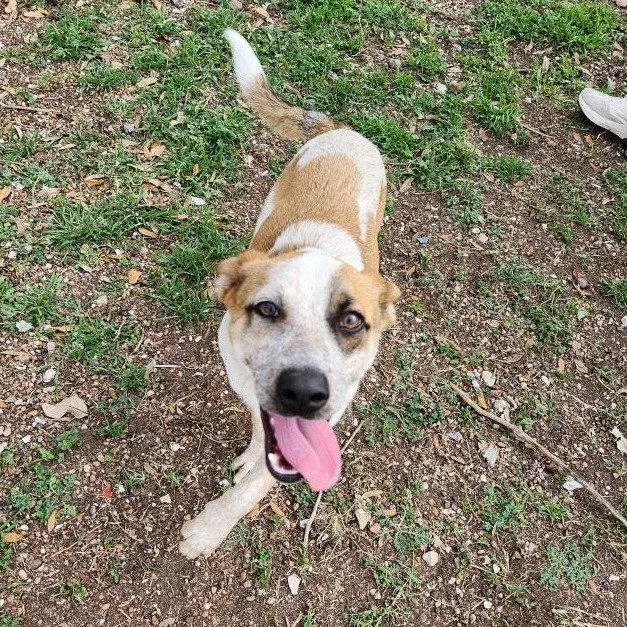 Misty Gch thumbnail 2