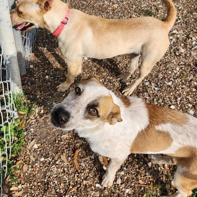 Misty Gch thumbnail 3