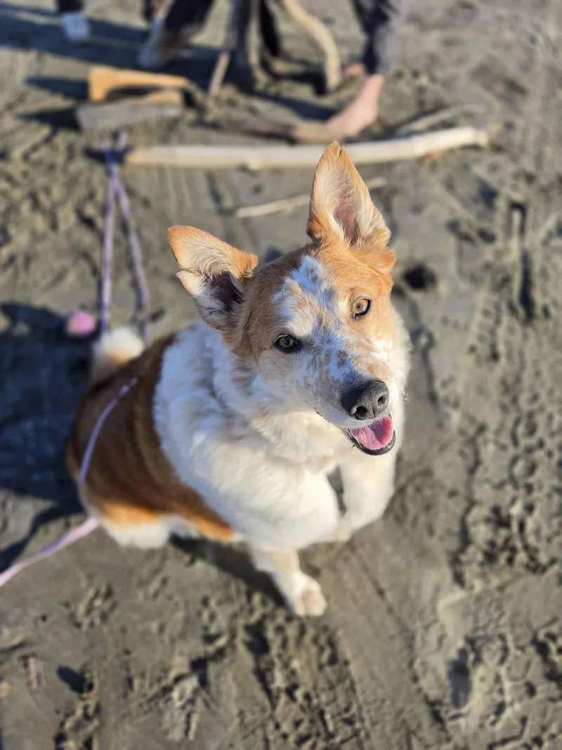 Murphy
