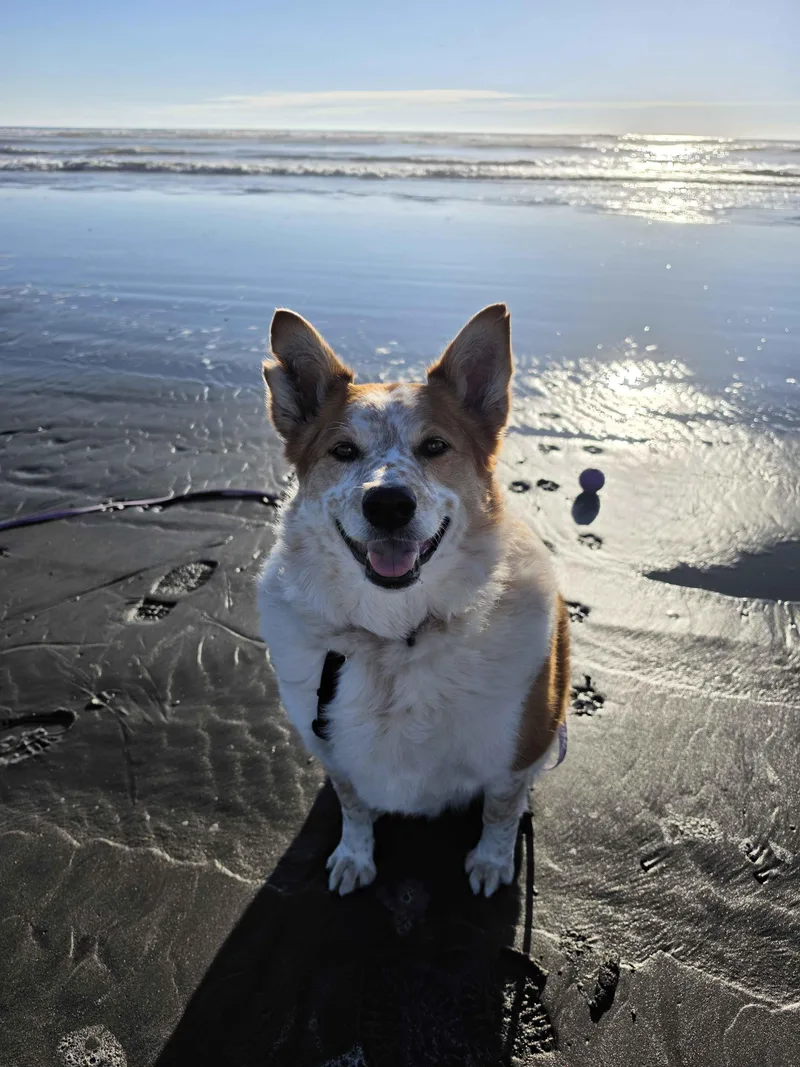 Murphy thumbnail 2